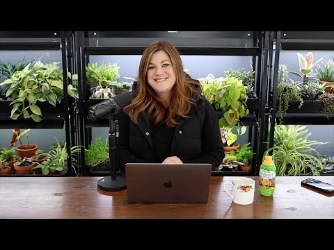 Is Youtube Hiding Garden Answer Videos? // How Many Hours Do You Work? // Recap 🌿