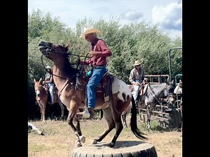 @topfans We are so proud to be hosting world-renowned mule trainer and our friend Paul Garrison III, Founder of Garrison Mulemanship and Training, this summer for our Second Annual Paul Garrison Mulemanship Training Clinics! Paul will also be available for private instruction between clinics. The first clinic will be August 16th-18th 2024 and the second will be August 23rd-25th, These clinics will be in beautiful Gunnison Colorado at our ranch. The clinic is for three days; the first day will fo