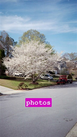 I thrifted this Olympus stylus for $3, does it work? #filmphotography #thriftfinds #35mm