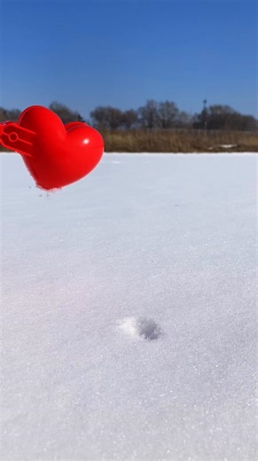 Make heart-shaped snowballs for double the fun! #SnowyFriendsCircle #Snowball #Snow #JoyInTheSnow #WinterOutdoorActivities | funny tv