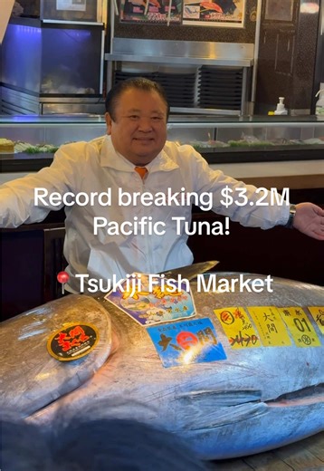 Record Breaking $3.2 Million Tuna at Tsukiji Fish Market