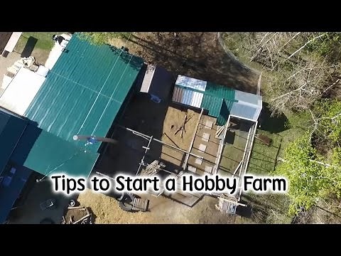 Tips for Starting a Hobby Farm