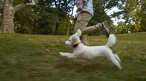 Go ahead, let your dog's inner animal out. | Nuzzle