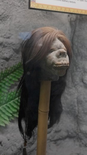 🎃 3/13 Nights of Ripley’s Frights! 🎃 Tonight’s feature: a genuine shrunken head! This shrunken head was crafted by the Jivaro people of Ecuador, who would take the heads of fallen enemies and shrink them down to the size of a fist as a war trophy. Believe It or Not! Robert Ripley brought back his first shrunken head from Lima, Peru, in 1923, sparking his vast collection of strange and unusual objects from around the world! Stay tuned for night 4 of 13 Nights of Ripley’s Frights! 👻 . . . #Ripl