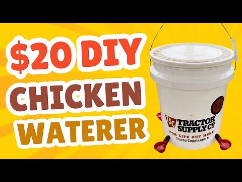 Easy DIY Chicken Waterer (20 Minute Project under $20)