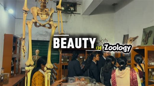 The Vipul 🍂 on Instagram: "Beauty of zoology🐼 . . . . [Zoology is the branch of biology that studies animals and the animal kingdom, covering topics like structure, physiology, behavior, and evolution. It explores the entire spectrum of animal life, from ancient to modern species, including how they interact with their ecosystems. Key branches include entomology (insects), ornithology (birds), and mammalogy (mammals).Structure and function: Zoologists study animal anatomy (structure) and physi