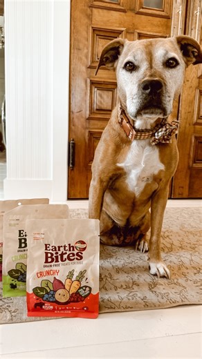 24K views · 198 reactions | Happy Earth Day 2024! AD @earthbornholistic is celebrating Earth Day again this year with a goal of planting up to 25,000 trees. There will be a tree planted for every comment under this post in the first 24 hours. So make sure to comment, even if it’s an emoji. ♥️ By the way, these are Ivy’s all time favorite dog treats which are made right here in the USA in family owned kitchens. #earthbornholistic | Deb and Danelle | Facebook