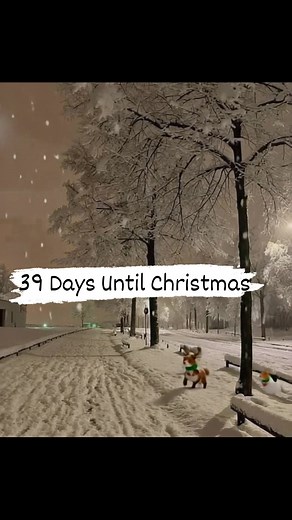 216K views · 5.2K reactions | 39 Days Until Christmas  | My Christmas Countdown | Facebook