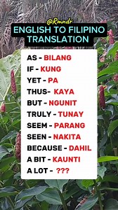 2.9M views · 8.2K reactions | English to Filipino Translation part516  #translation #English #filipino #learnenglish #vocabulary #learning #englishlearning #trend #followers #trendingreels #everyone #viralreel #viralreelsfb #fbreelsfypシ゚ ♥️ | Rmndr | Facebook