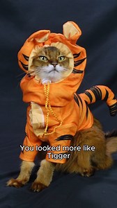 38K views · 1.9K reactions | This Tigger costume was a disaster! Just wait til you see the full video of me modeling it - https://www.sparklecat.com/weird-cat-videos/my-tigger-halloween-costume-fail @followers | Sparklecat.com featuring Summer | Facebook