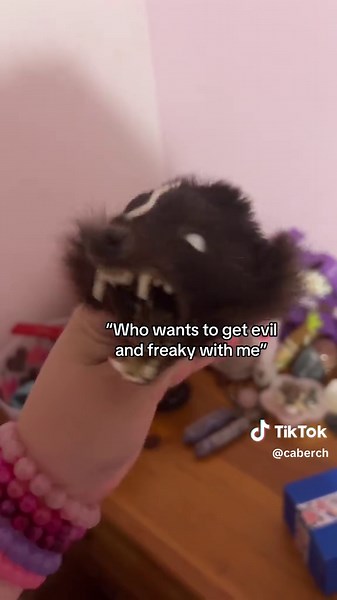 THIS IS SATIRE ITS JUST A DECORATION! don’t come at me 😭 this is taxidermy so yes they’re real, please stop asking that 🙏🏻 #satire #taxidermy #pinemarten #skunk #softmount #animalsoftiktok #weirdpets #odditytok #oddities #remastered #adultstuff #fypシ #sketchy ##taxidermytiktok #meme