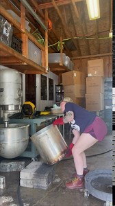 Nova Maple Sugar - Pure Grade-A Maple Sugar (6 Pounds)