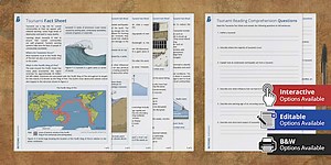 Tsunami Reading Comprehension