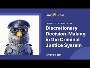 Discretionary Decision-Making in the Criminal Justice System - Essay Example