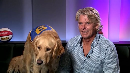 Buddy the basketball-playing dog is back in 'Air Bud Returns'