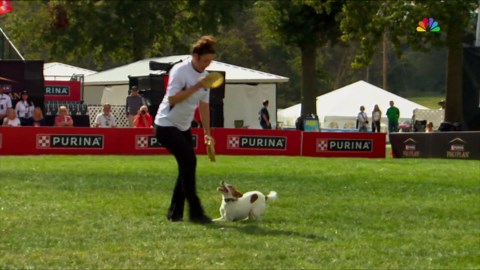 IDC Freestyle Flying Disc National Finals