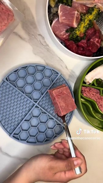 Feeding Dogs Raw Meat: A Guide to Raw Dog Food Diet