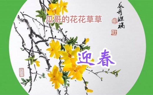 初学者入门免费国画教程-迎春花画法
