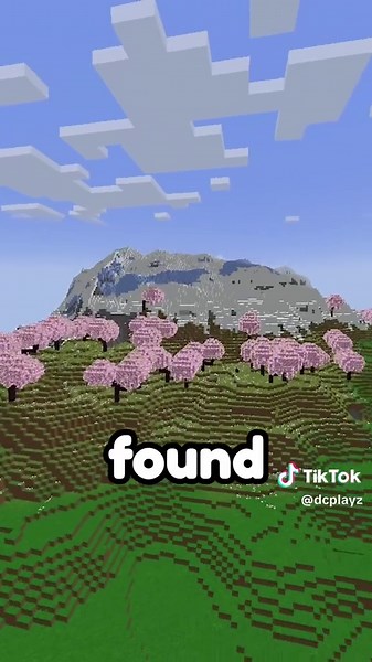 dcplayz1 on YouTube ⛏️ on TikTok