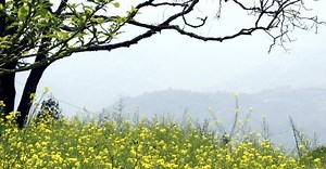 Anger Management - Mindtools