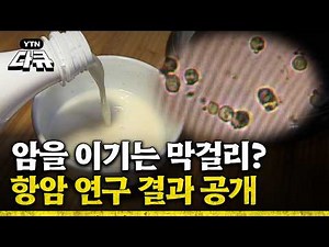 Makgeolli is actually a mass of lactic acid bacteria - The identity of the 'anticancer ingredient...