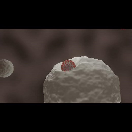Coronavirus Infecting a Cell in 3D animation #shorts
