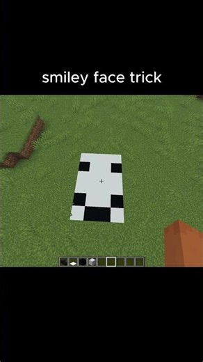 Minecraft Smiley Face Trick Moment