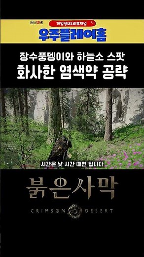 붉은사막 화사한 염색약 장수풍뎅이와 하늘소 스팟입니다 #붉은사막 #하늘소 #장수풍뎅이 #화사한염색약