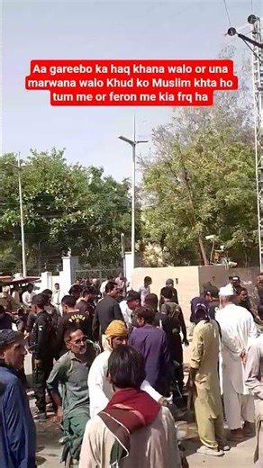 what's difference between you and freon #treading