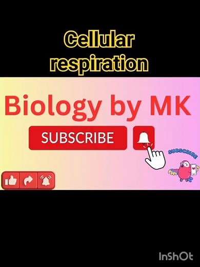 Cellular respiration| Cellular Respiration (UPDATED)| ATP & Respiration: Crash Course Biology #7