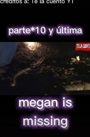 Megan is Missing Barrel Scene Explained