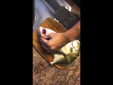 How To Clean Pampano Fish!!