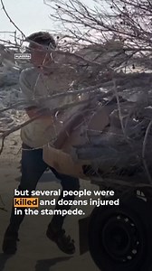 547K views · 20K reactions | At least 3 Palestinians died when thousands of starving people rushed to an aid distribution point run by the controversial 'Gaza Humanitarian Foundation', amid criticism of the operation from aid agencies. | Al Jazeera English | Facebook