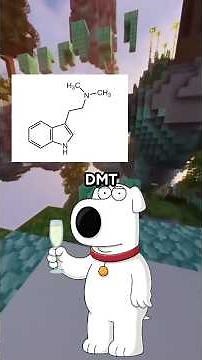 DMT - The Spirit Molecule 👾