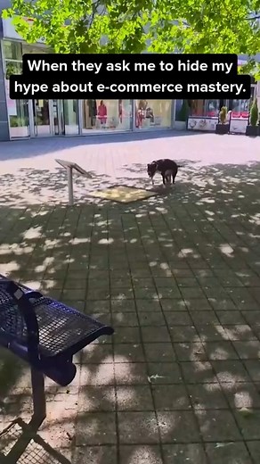 You should be excited! 😅 | Amazing.com