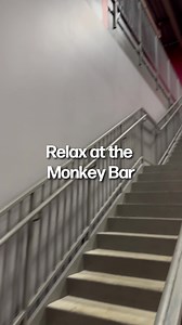 We aren't kidding when we say we have something for everyone! Enjoy a drink at our monkey bar while your kids explore all of our adrenaline-pumping activities. | Adrenaline Monkey