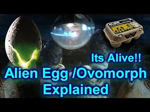 Alien Eggs - The Ovomorph....Its Alive!!!!