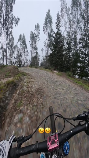 Caldito de Gallina y Platos Tradicionales Peruanos