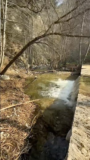 Arroyo Seco Creek near Pasadena California