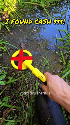 Exciting Beach Finds with Metal Detecting Equipment