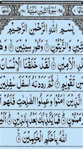 Surah At Teen #quran #surahteen #duet #‪@adv.yasinkapadia‬