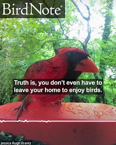 2.1K views · 622 reactions | You don’t need fancy binoculars or...