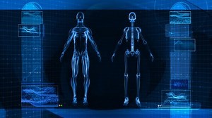 Digital X-ray Scan Human Body Hd Stock Footage Video (100% Royalty-free) 1762697 | Shutterstock