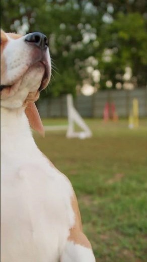 Creatine: The Pros and Cons Uncovered