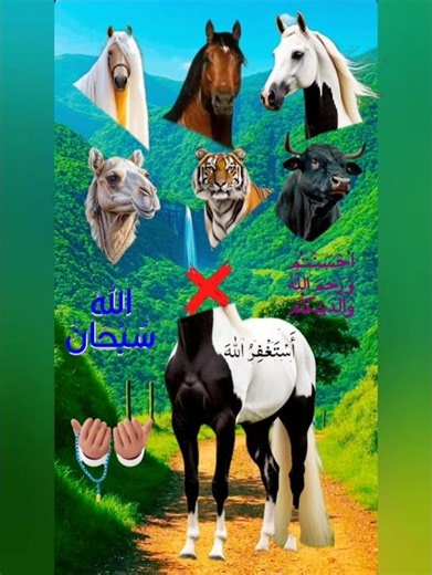 Unreal Bull VFX Fusion 2025!X|4AnimalHeads Transformation #shorts#shortvideo#islamicvideo