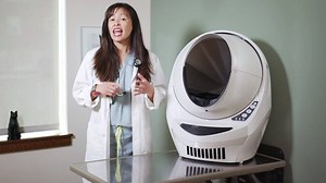 1.2K views · 11 reactions | If your cat just urinated outside of the litter box, watch this video from Dr. Justine Lee! | Litter-Robot by Whisker | Facebook