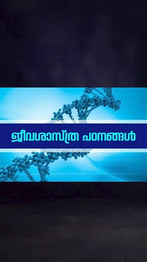 DAILY INFO I KERALA PSC | Talent Academy #shorts