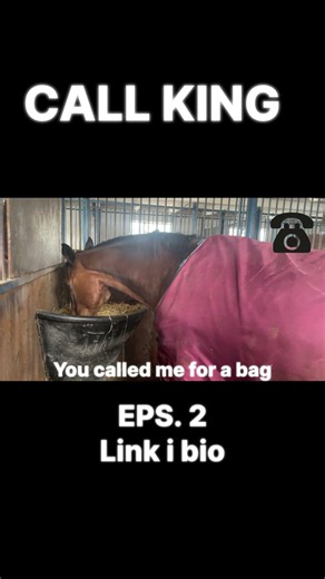 CALL KING Episode 2 is out now! 📞🐶