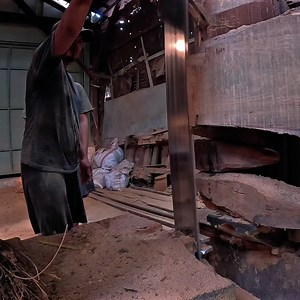 sawmill in action | Sawmill & Woodworking