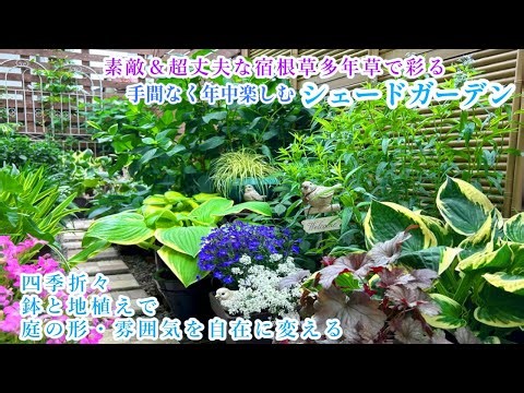 【庭の形や配置を自在に変える＊半日陰の庭づくり】【リーフが素敵＆毎年楽しめる丈夫な宿根草多年草】ガーデニング/寄せ植え/シェードガーデン/ヤマブキ剪定